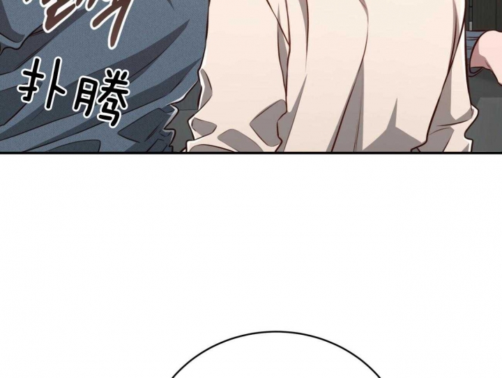 51.jpg