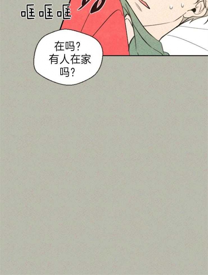 34.jpg