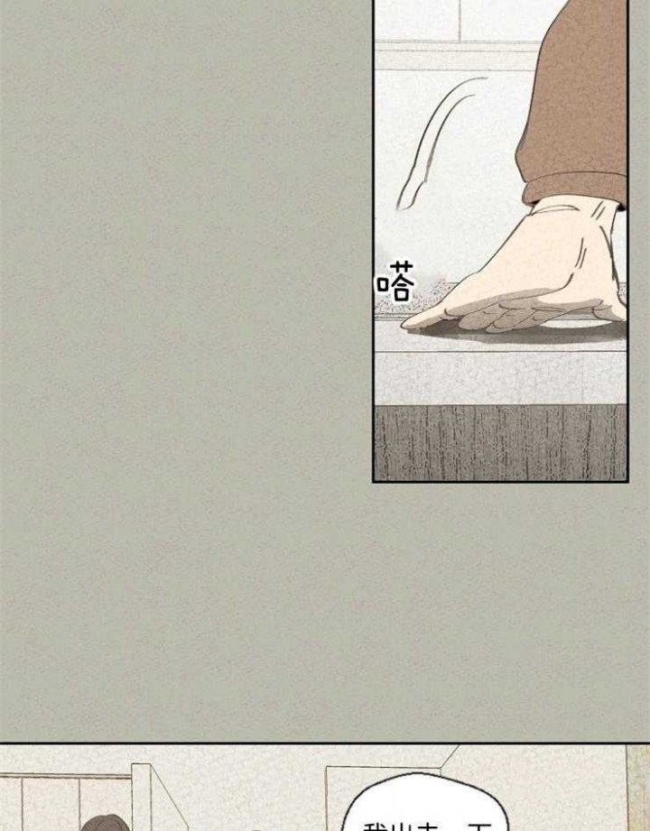 24.jpg