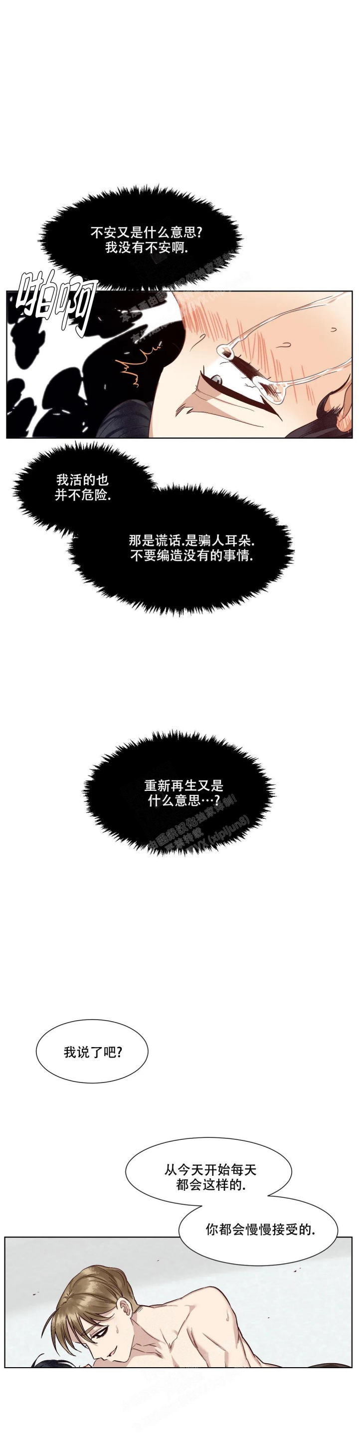 19.jpg