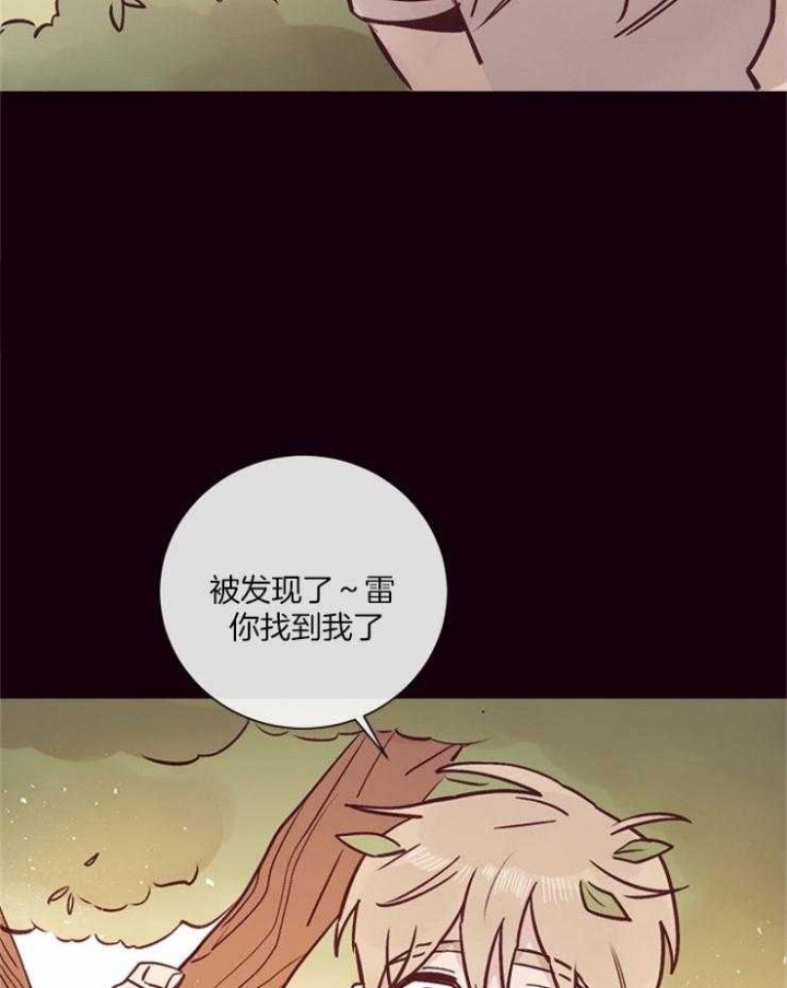 29.jpg
