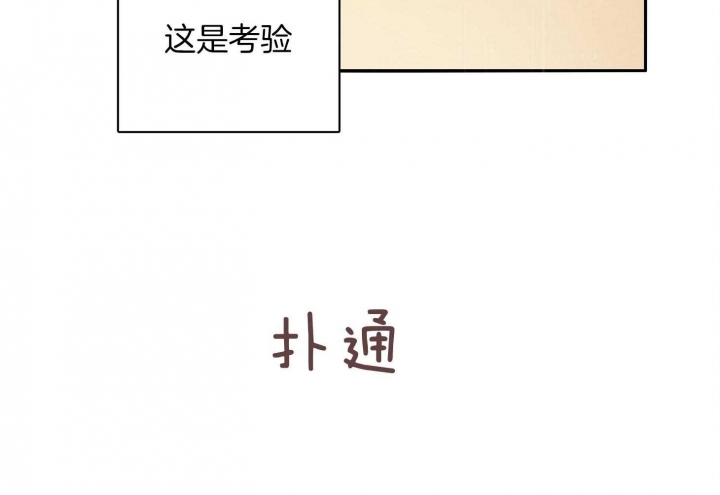 75.jpg