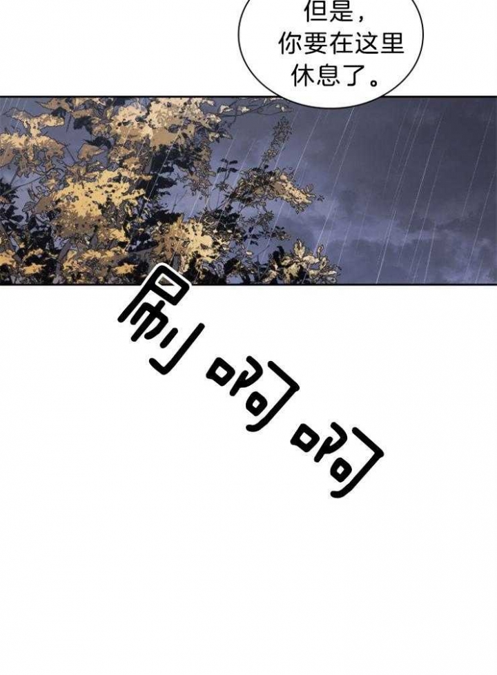 31.jpg