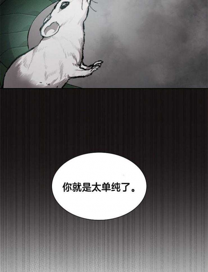 27.jpg