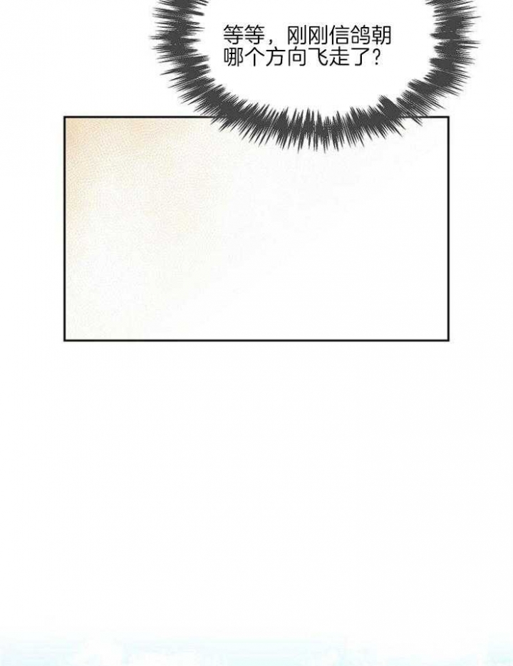 47.jpg