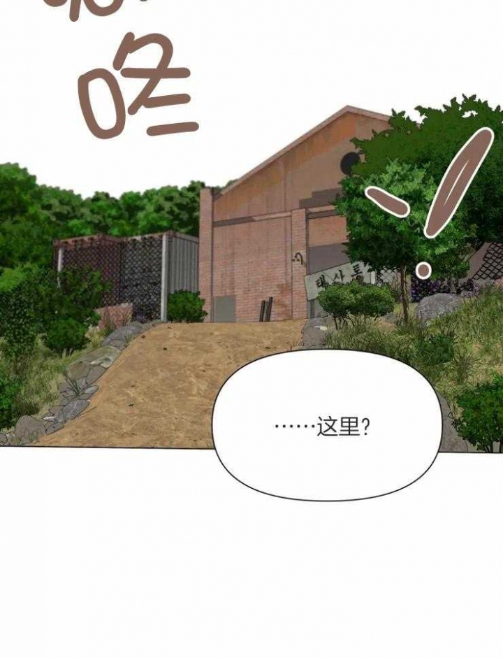 35.jpg