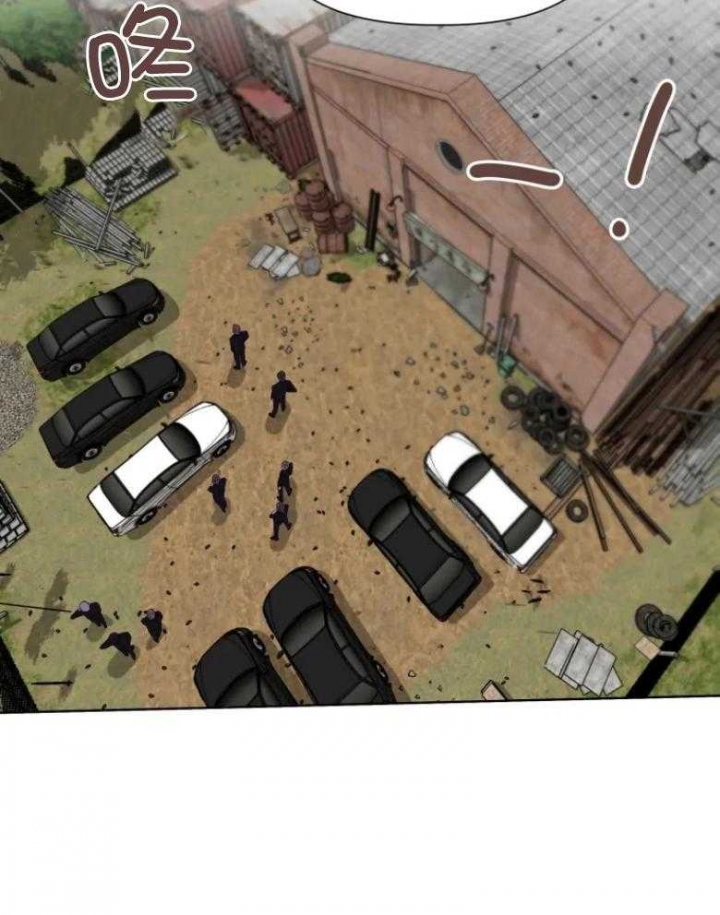 36.jpg
