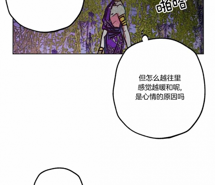 36.jpg