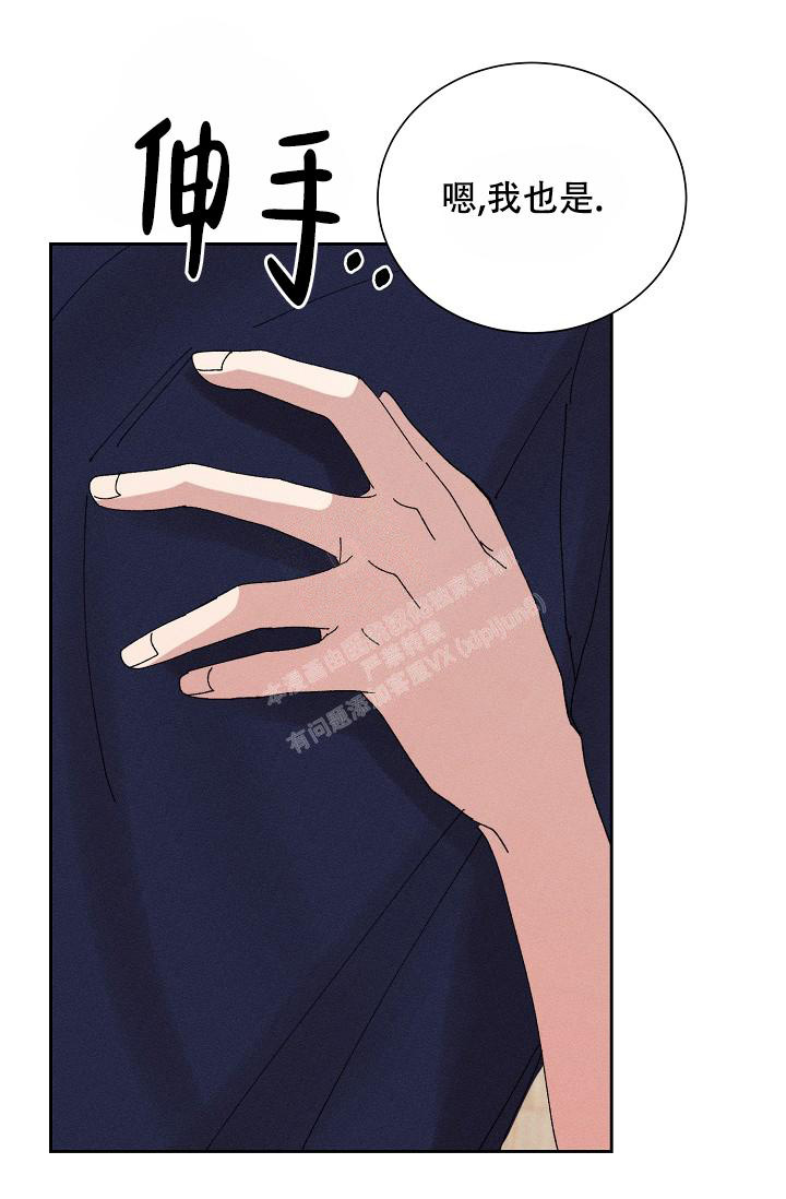 41.jpg