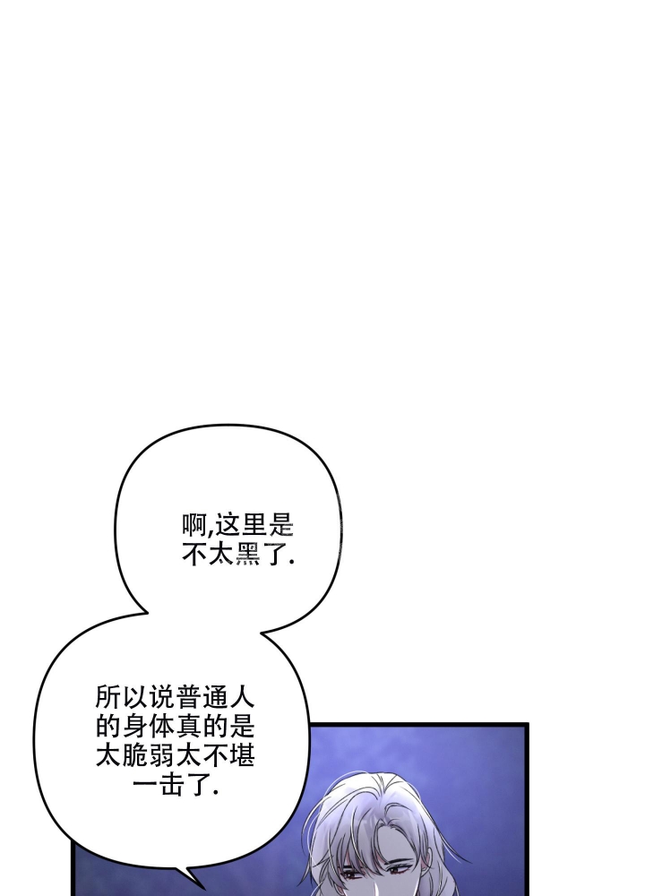 49.jpg