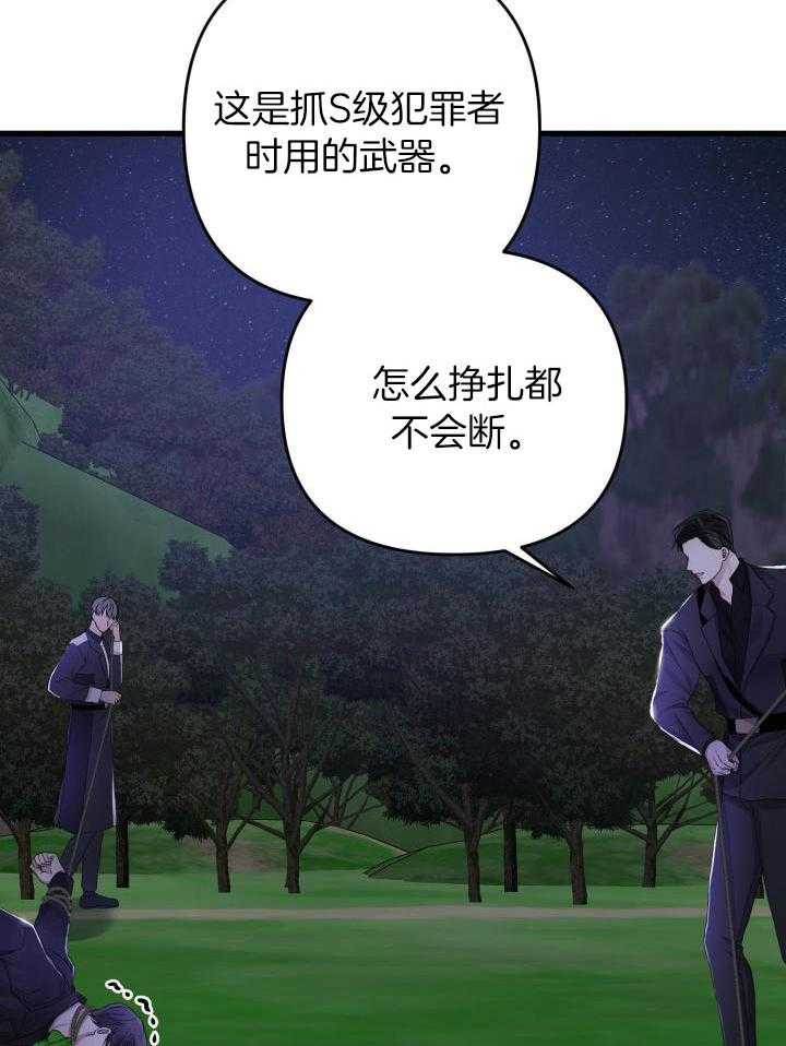 23.jpg