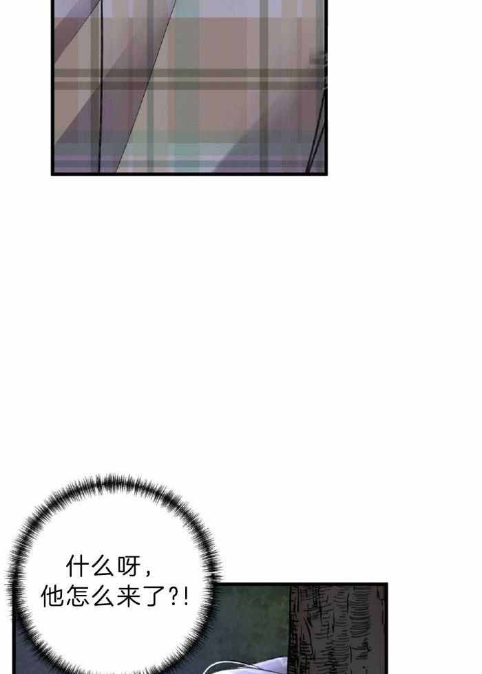 28.jpg