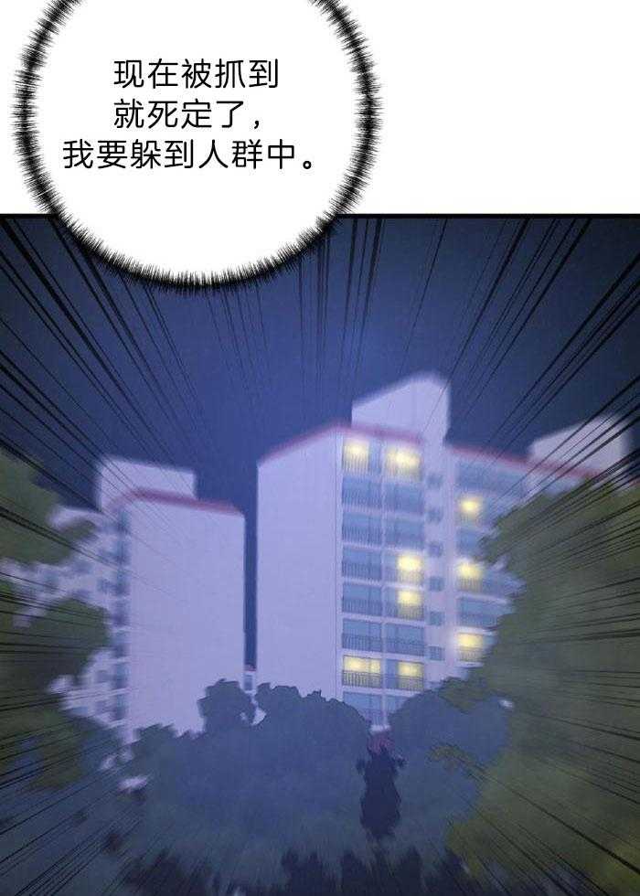 37.jpg