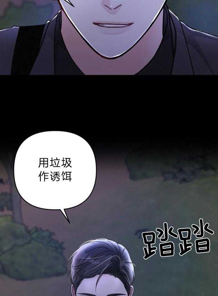 27.jpg