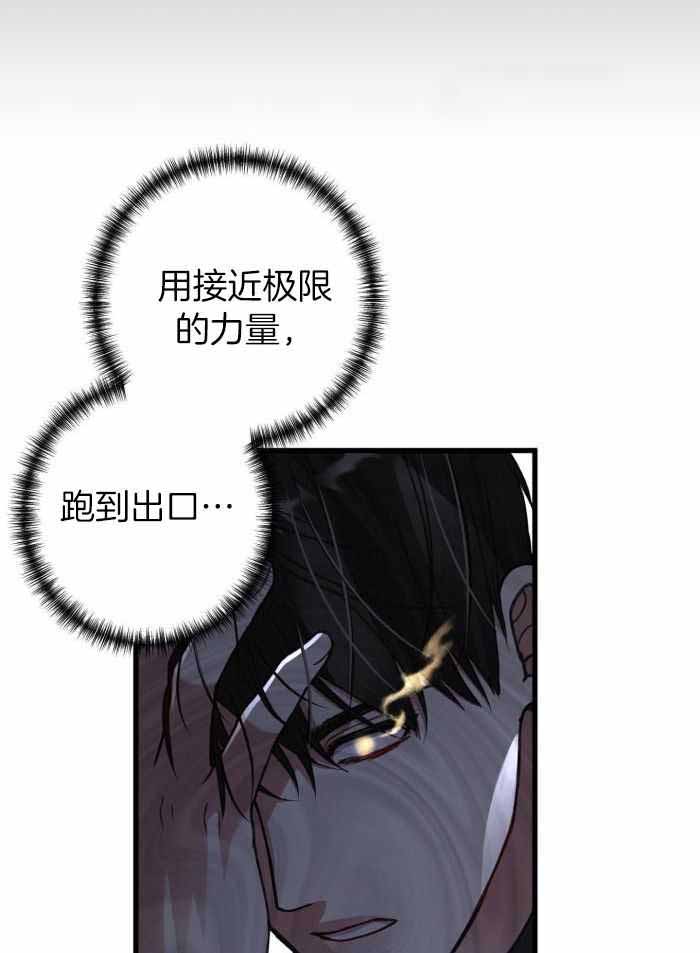 41.jpg