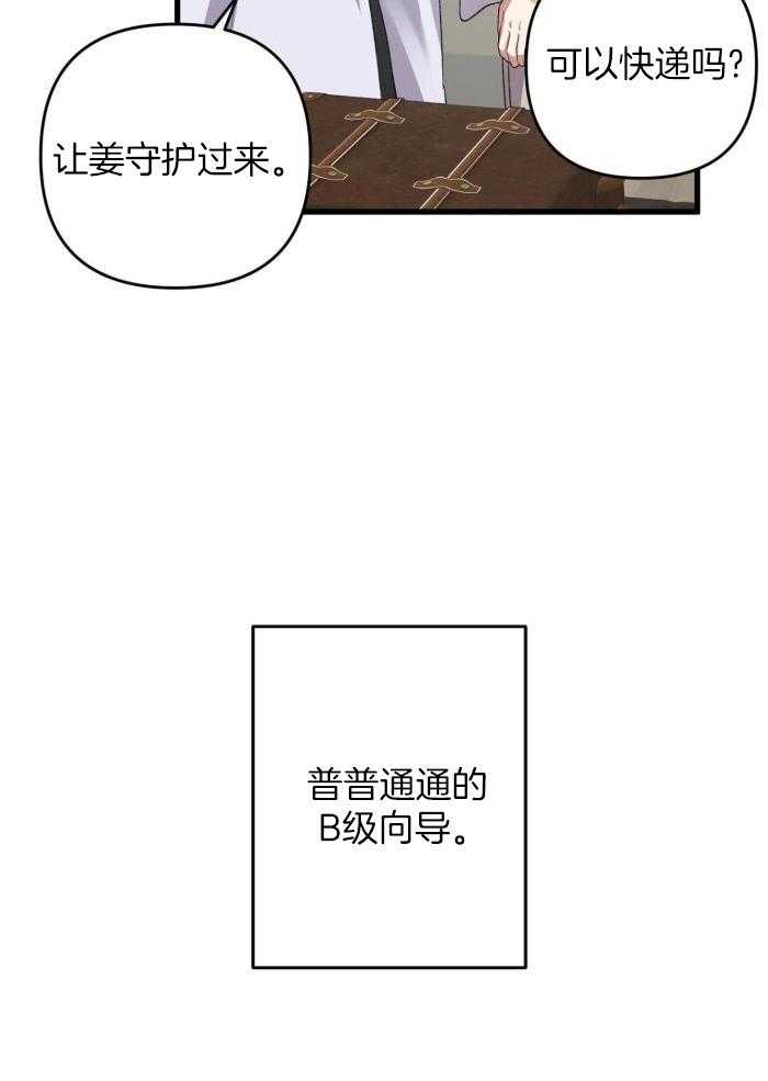 37.jpg