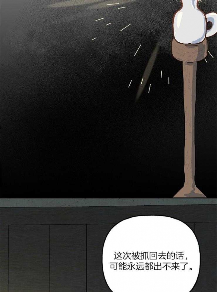 36.jpg