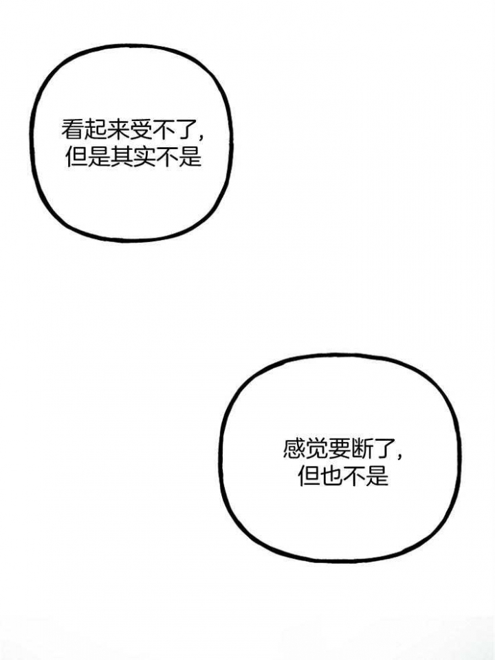 37.jpg