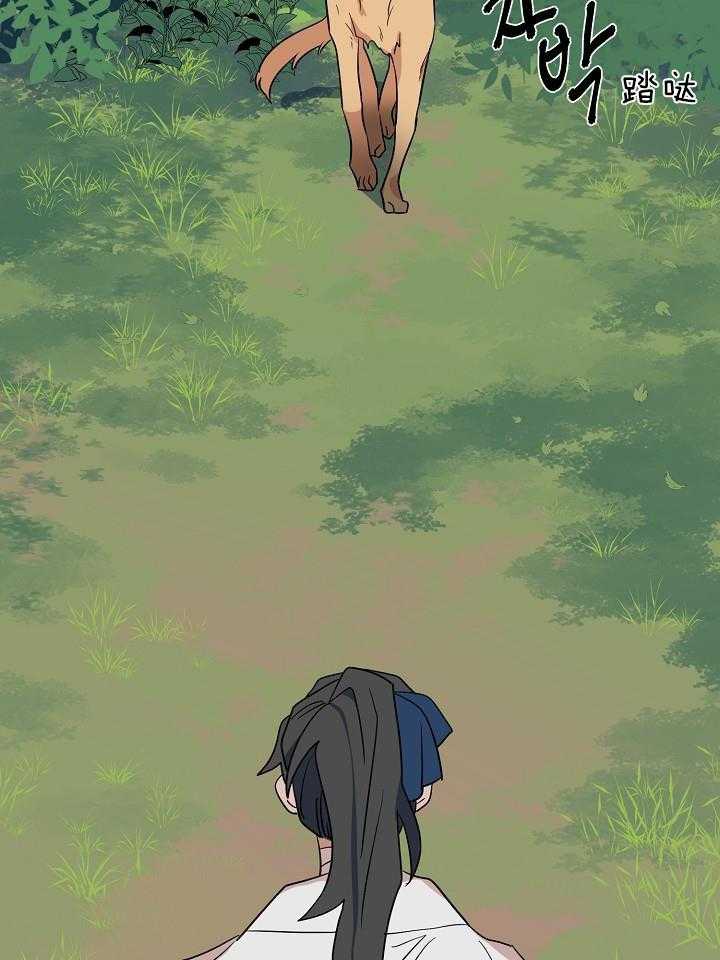 35.jpg