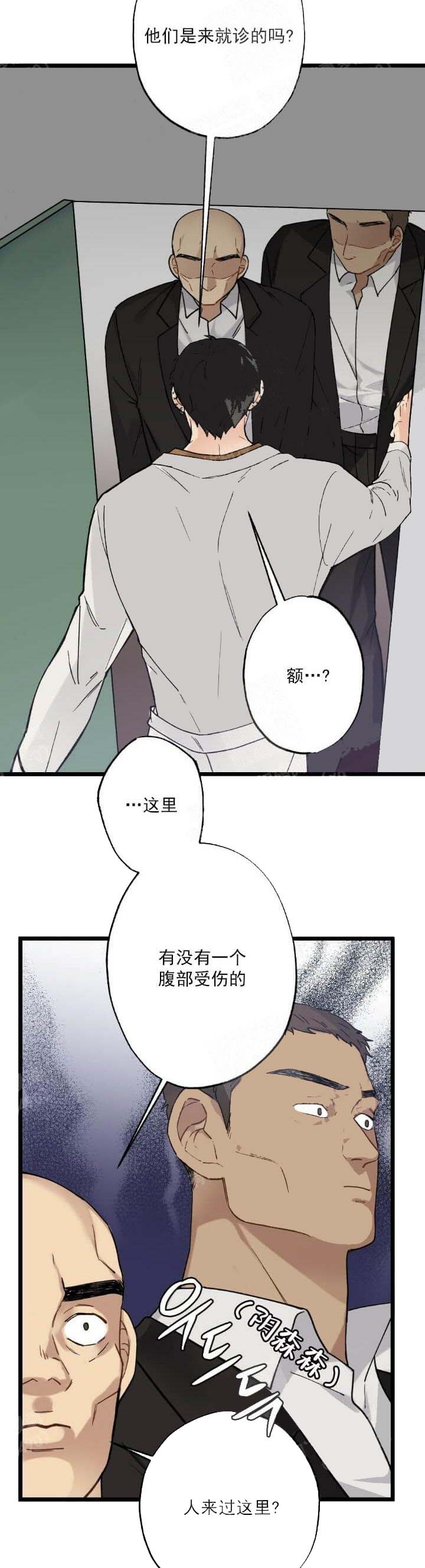 11.jpg