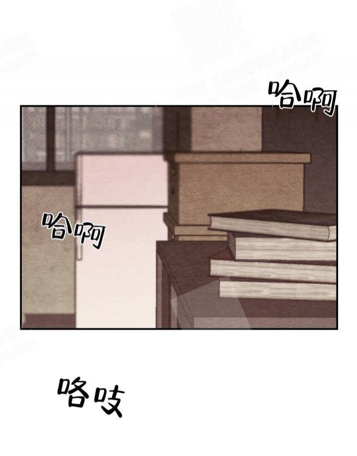 35.jpg