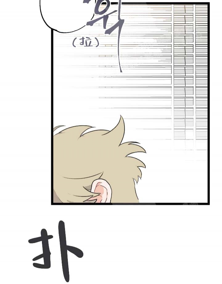 50.jpg