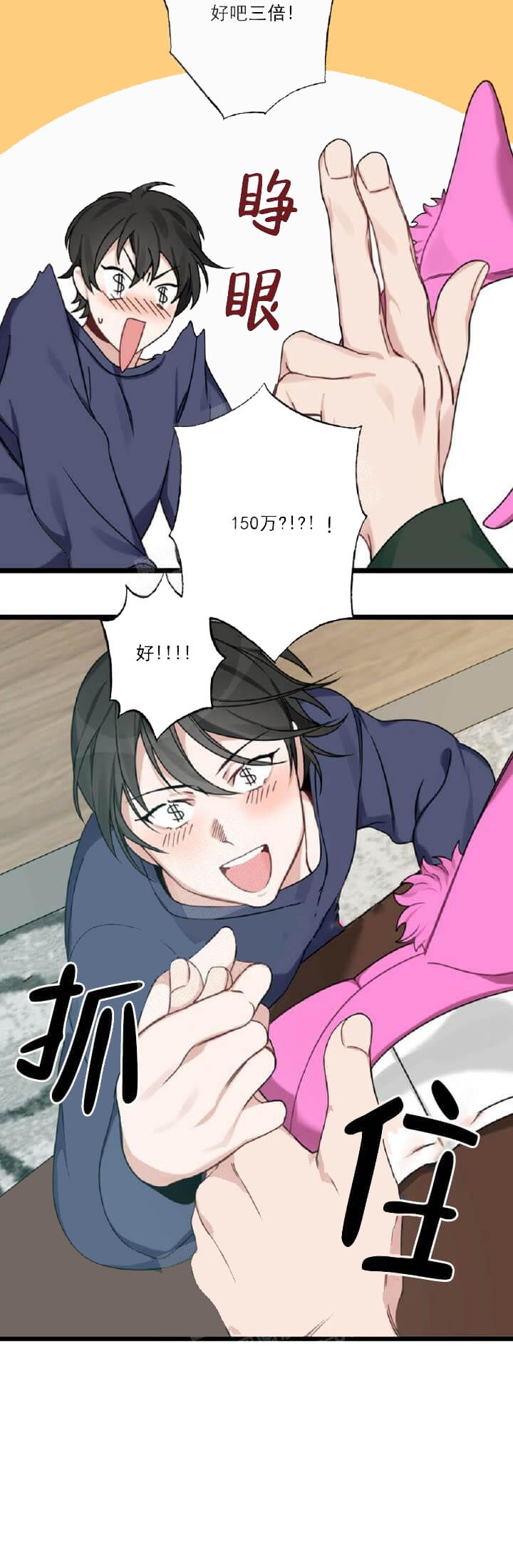 11.jpg
