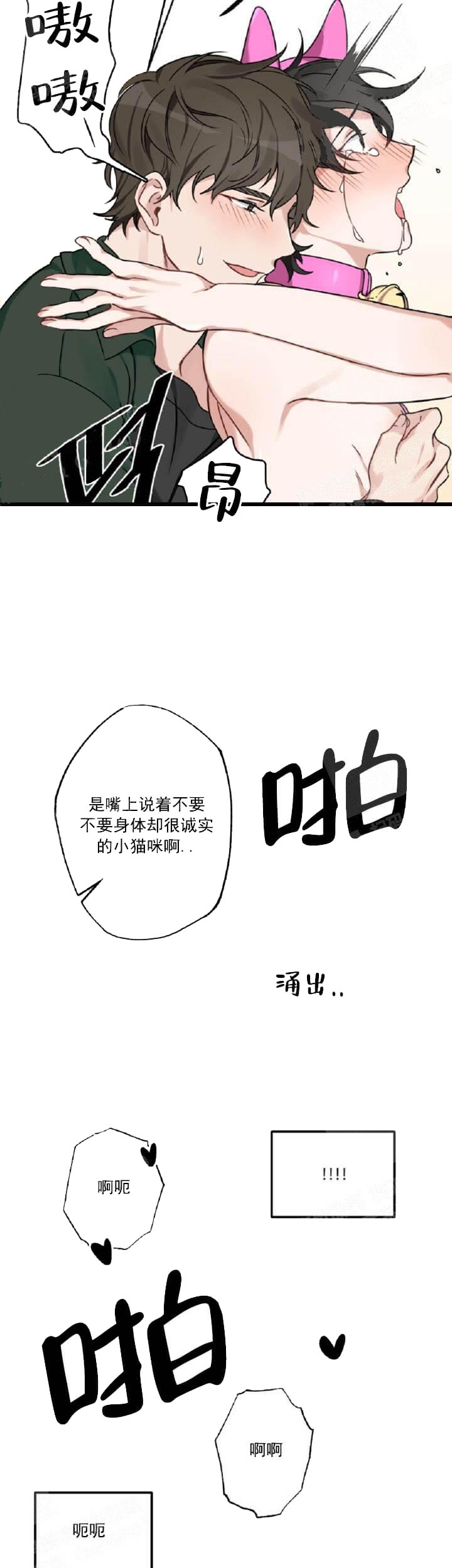 10.jpg