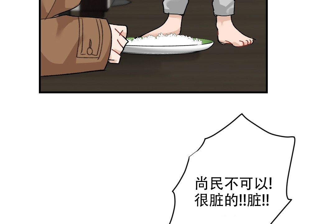 43.jpg