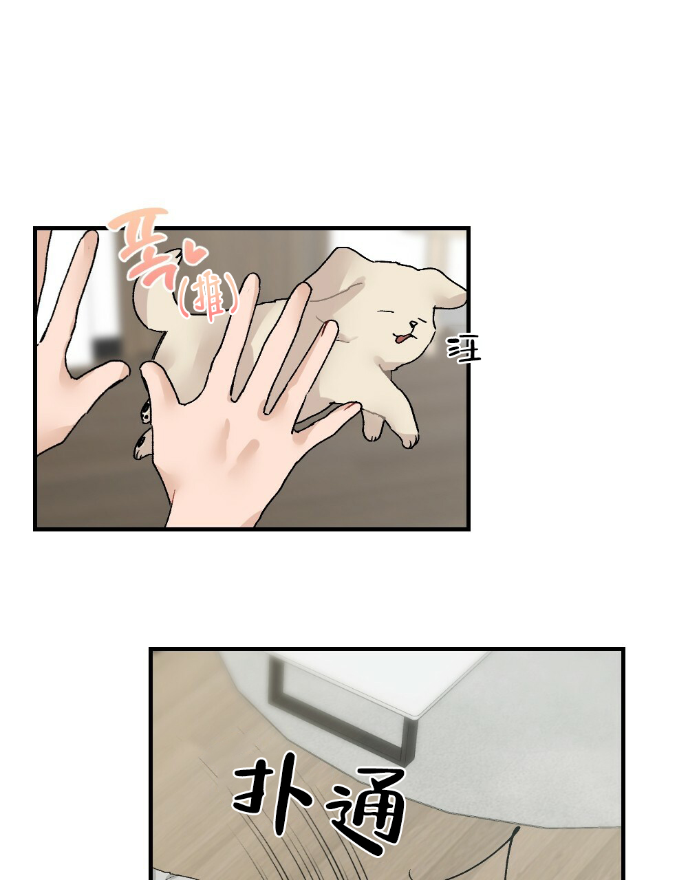 41.jpg