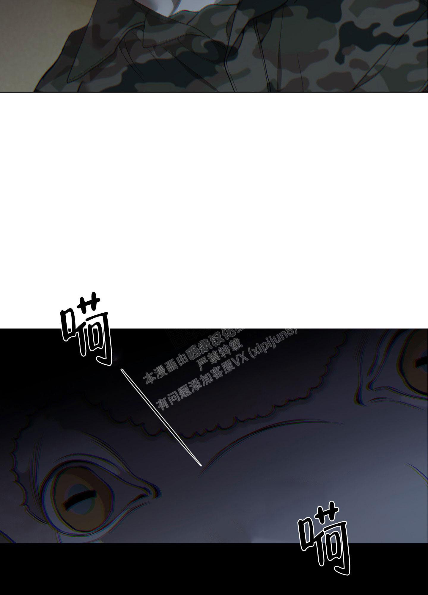 20.jpg