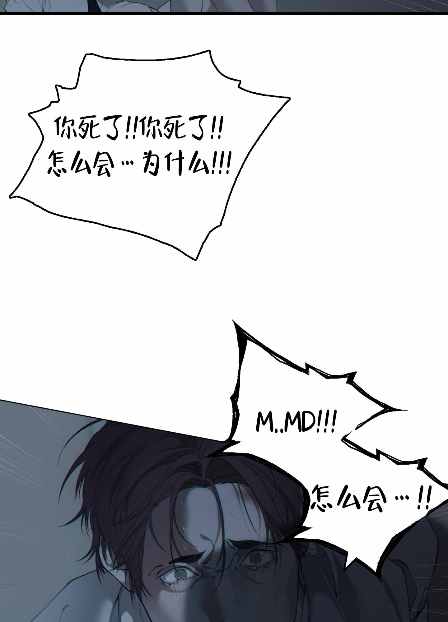 40.jpg
