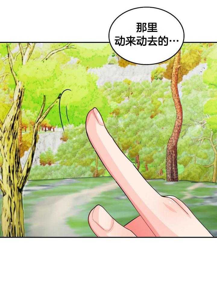 21.jpg
