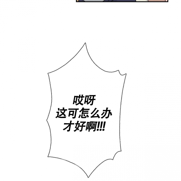 71.jpg