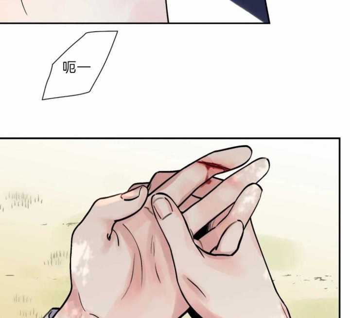 39.jpg