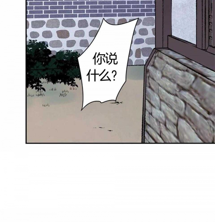 53.jpg