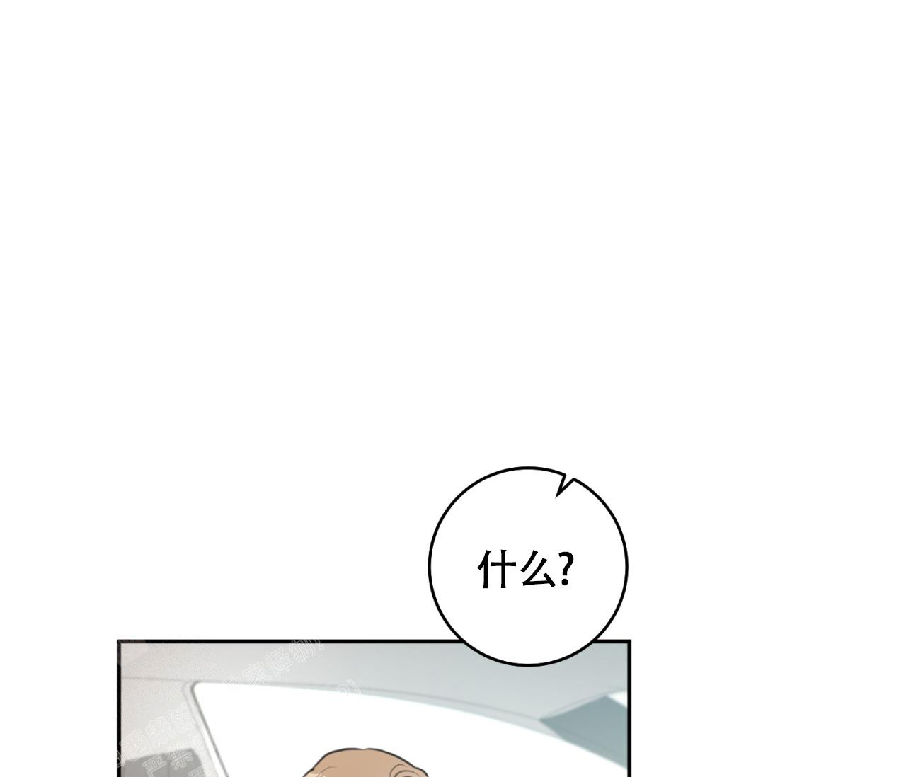 79.jpg