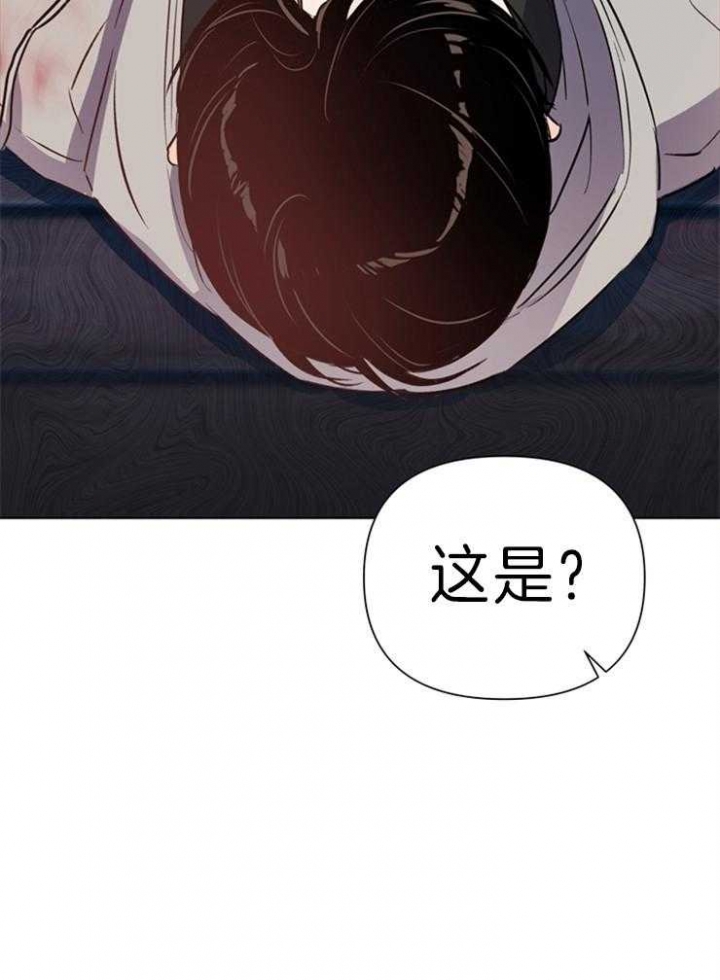 31.jpg