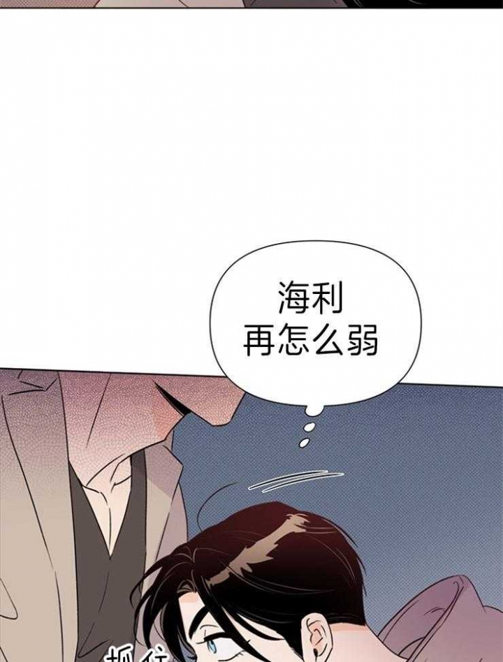 40.jpg