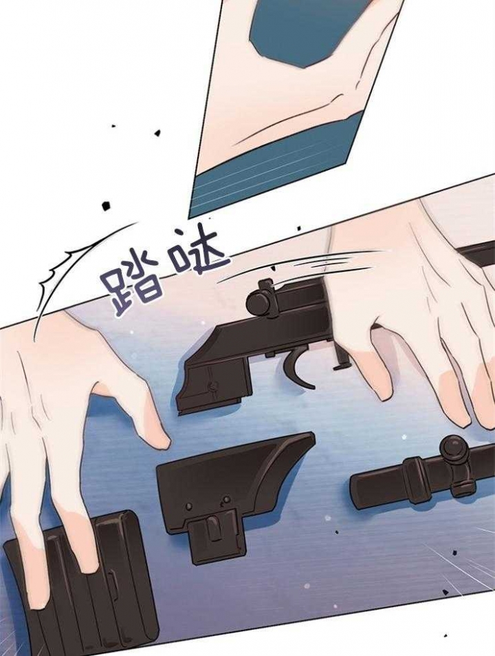 15.jpg