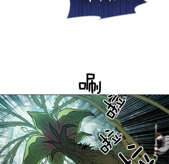 62.jpg