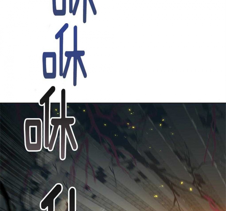 93.jpg