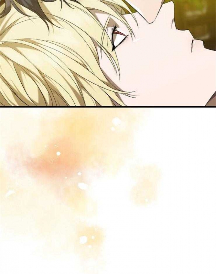 52.jpg