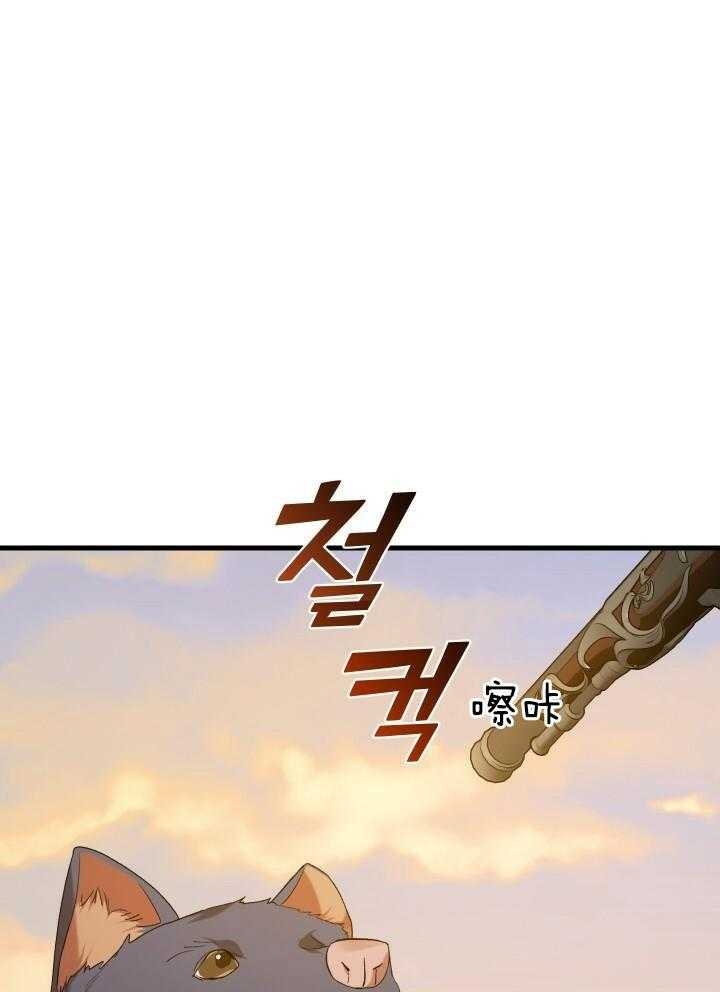 52.jpg
