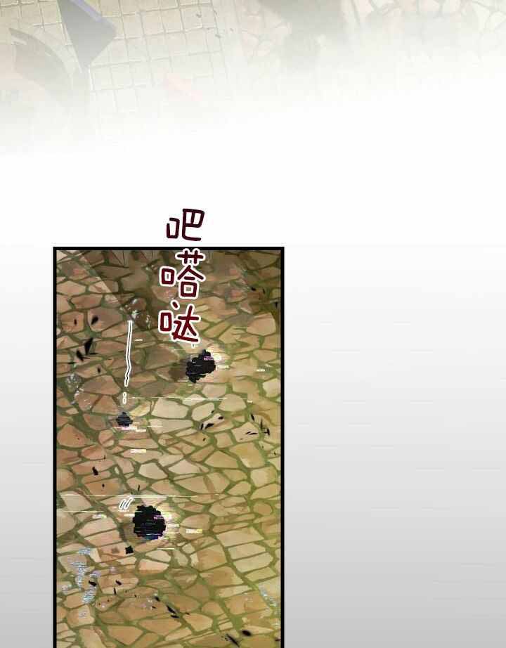 40.jpg