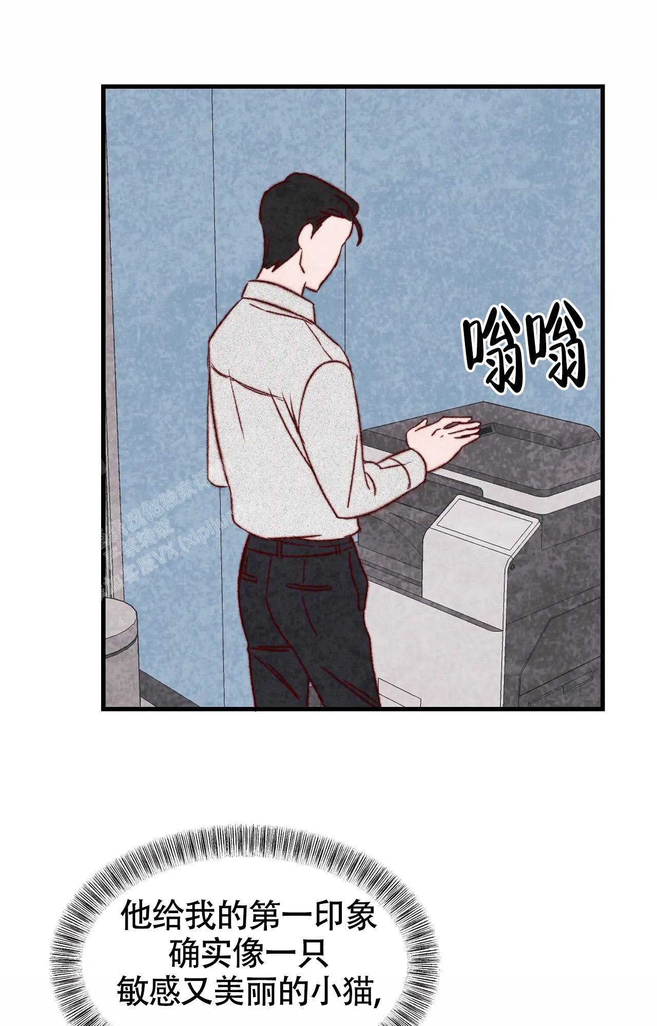 25.jpg