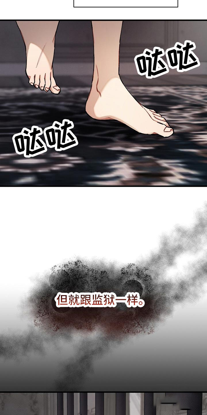 15.jpg