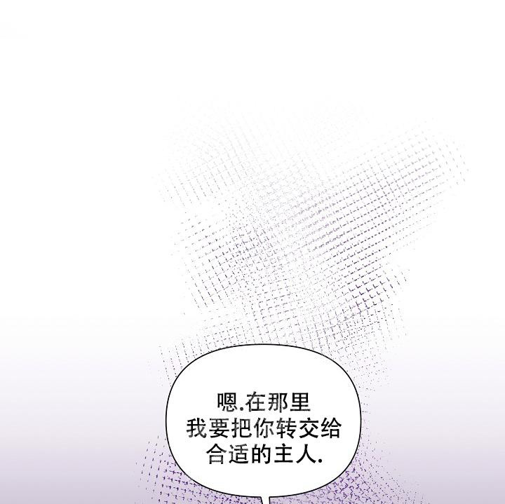 76.jpg