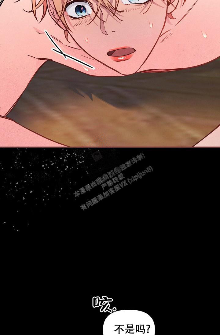 37.jpg