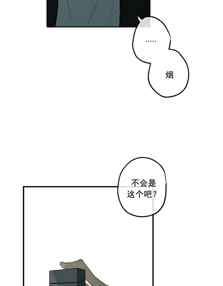 29.jpg